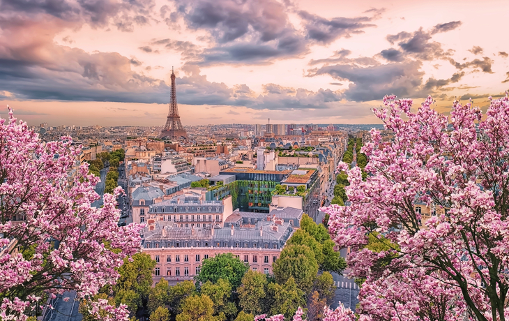 Blick auf Paris mit Eiffelturm und blühenden Kirschbäumen im Vordergrund.